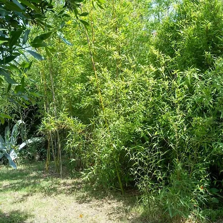Provence 70 * LʼIsle-sur-la-Sorgue